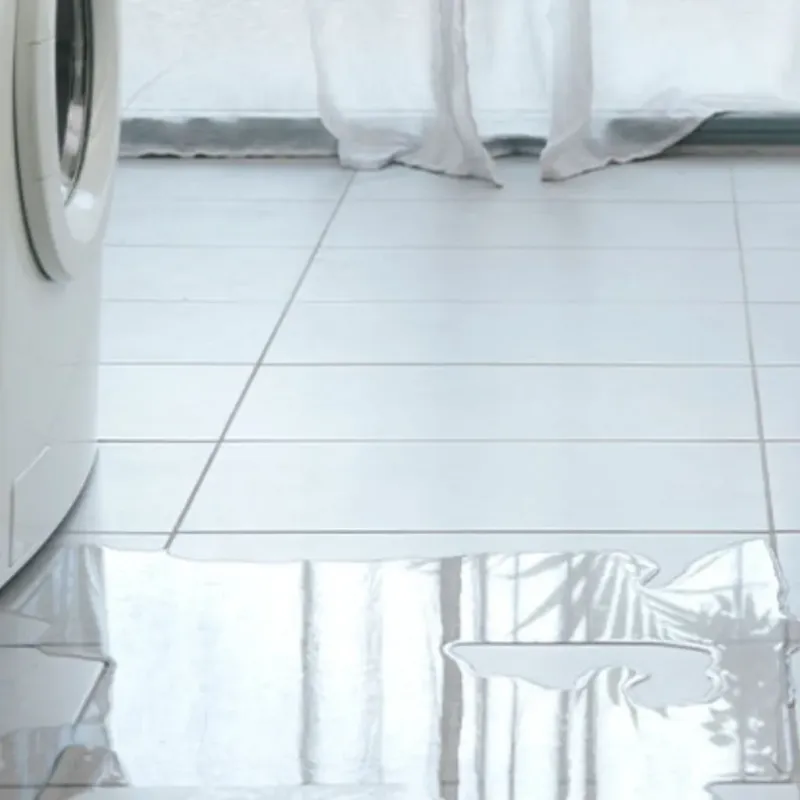 Appliance Leak Cleanup in Ravenel, SC